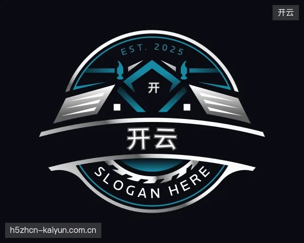 解读开云公司